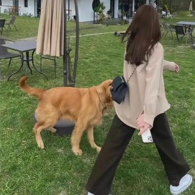 侠女传奇